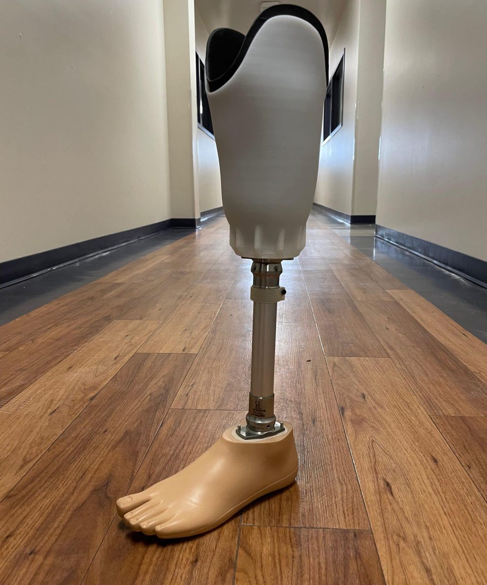 Example 3D printed prosthetic below the knee solution